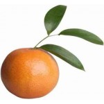 tangerine-150x150